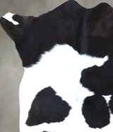 Calfhide Approx 2'x3' #B21866 by Hudson Hides