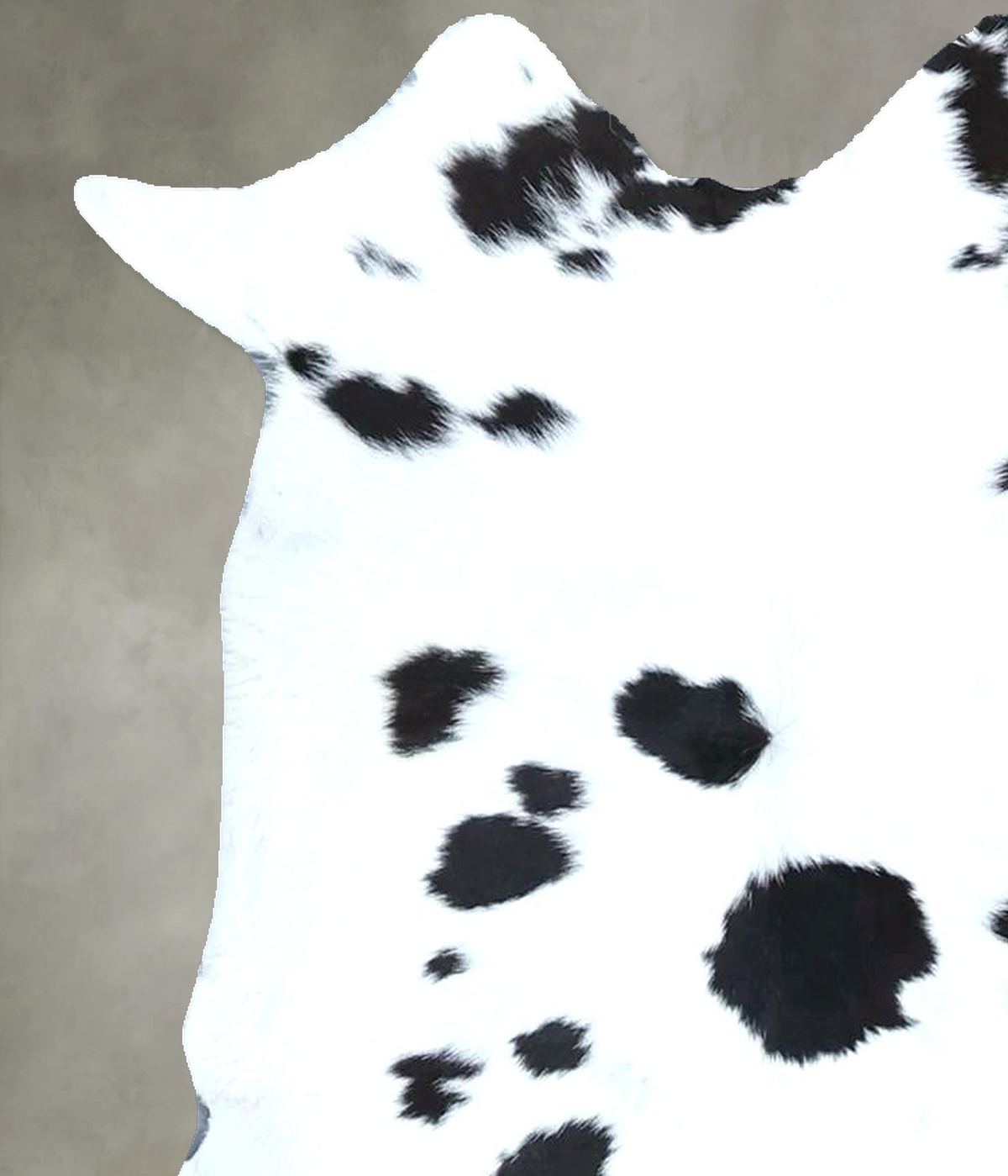 Calfhide Approx 2'x3' #B21867 by Hudson Hides