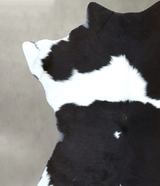 Calfhide Approx 2'x3' #B21869 by Hudson Hides