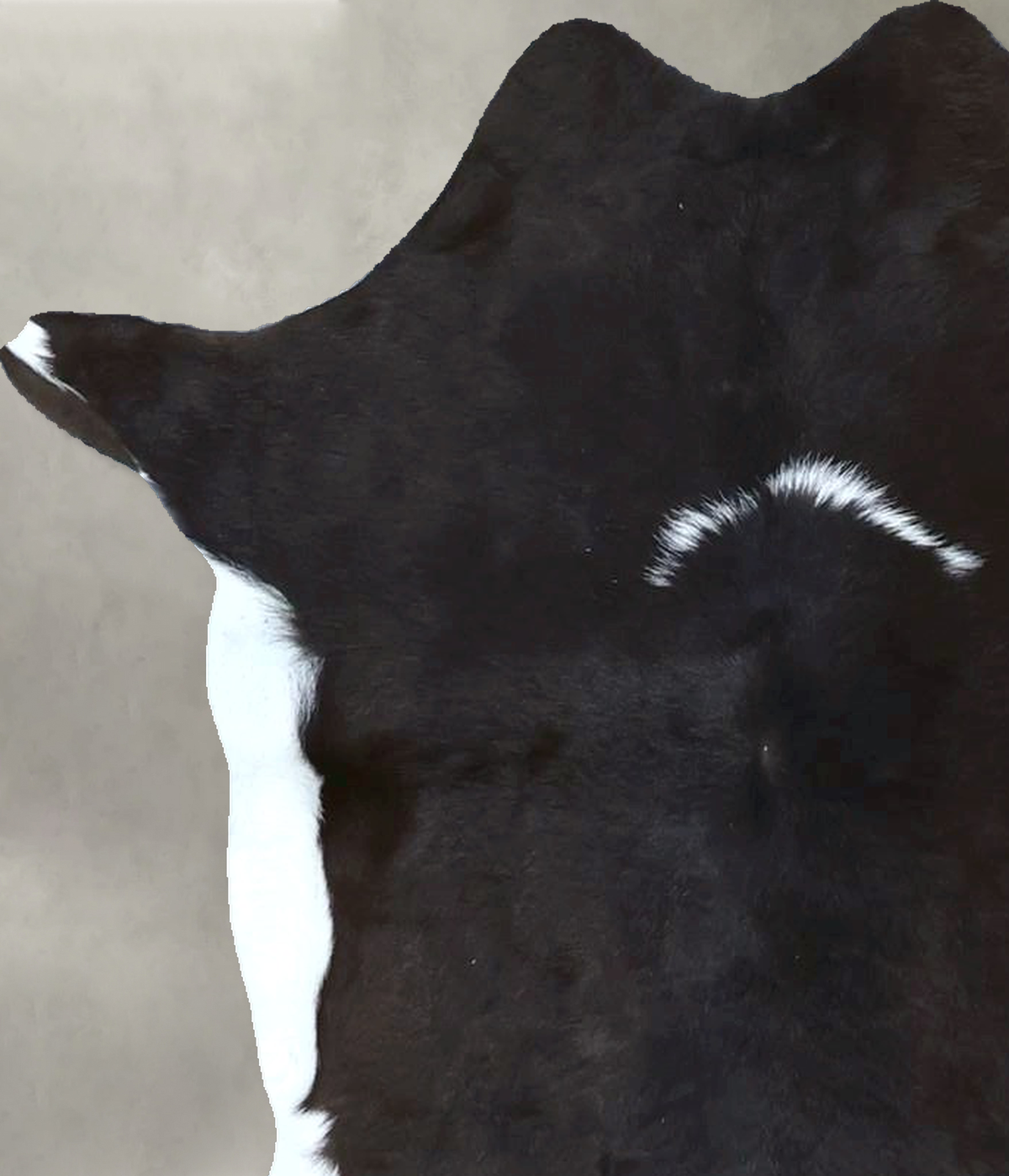 Calfhide Approx 2'x3' #B21873 by Hudson Hides