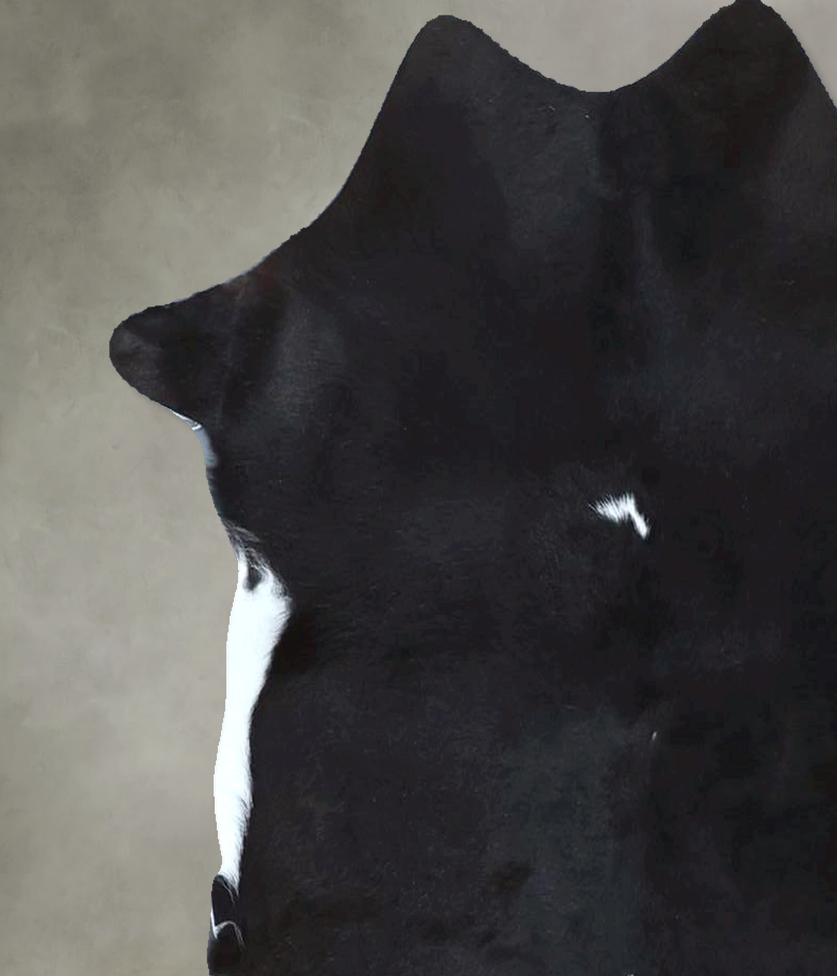 Calfhide Approx 2'x3' #B21874 by Hudson Hides