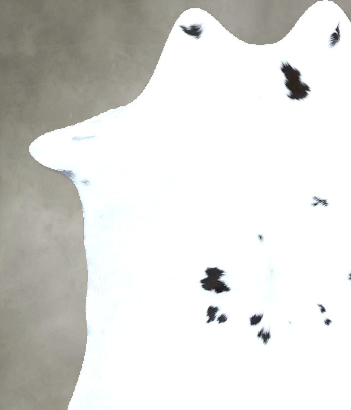 Calfhide Approx 2'x3' #B21875 by Hudson Hides