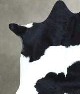 Calfhide Approx 2'x3' #B21878 by Hudson Hides
