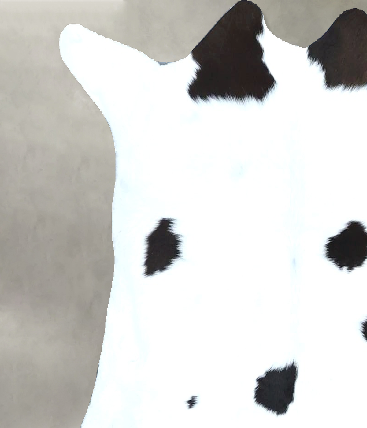 Calfhide Approx 2'x3' #B21879 by Hudson Hides