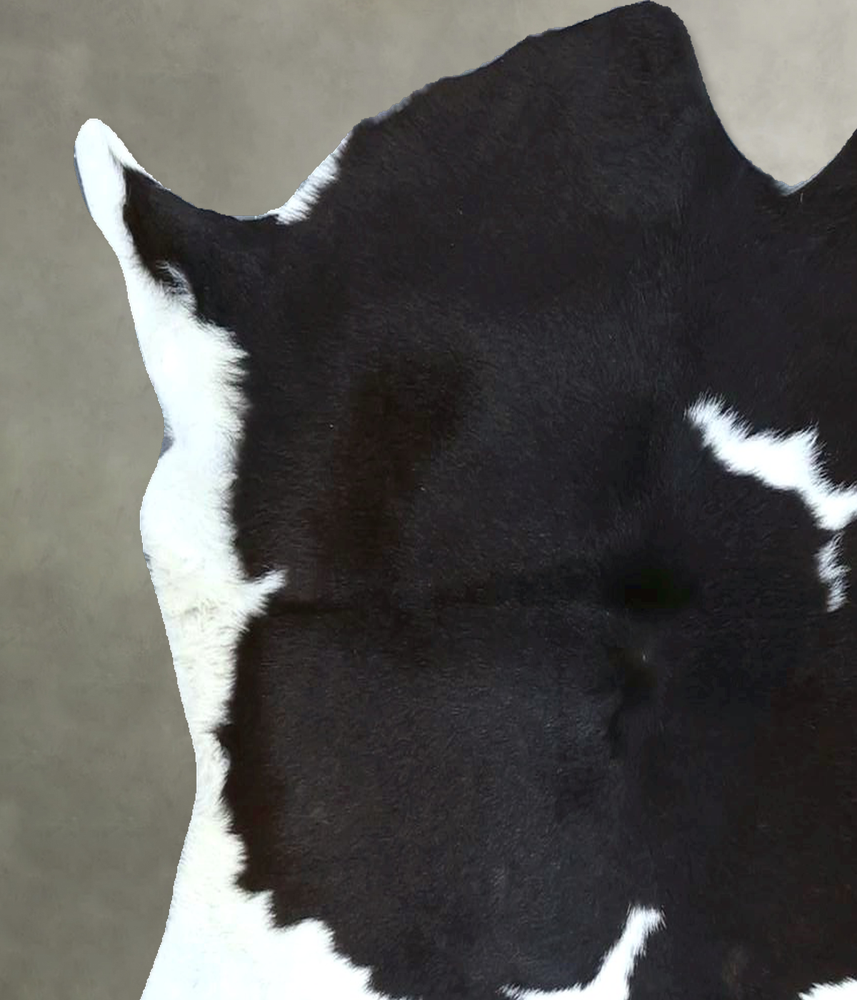 Calfhide Approx 2'x3' #B21880 by Hudson Hides