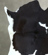 Calfhide Approx 2'x3' #B21880 by Hudson Hides