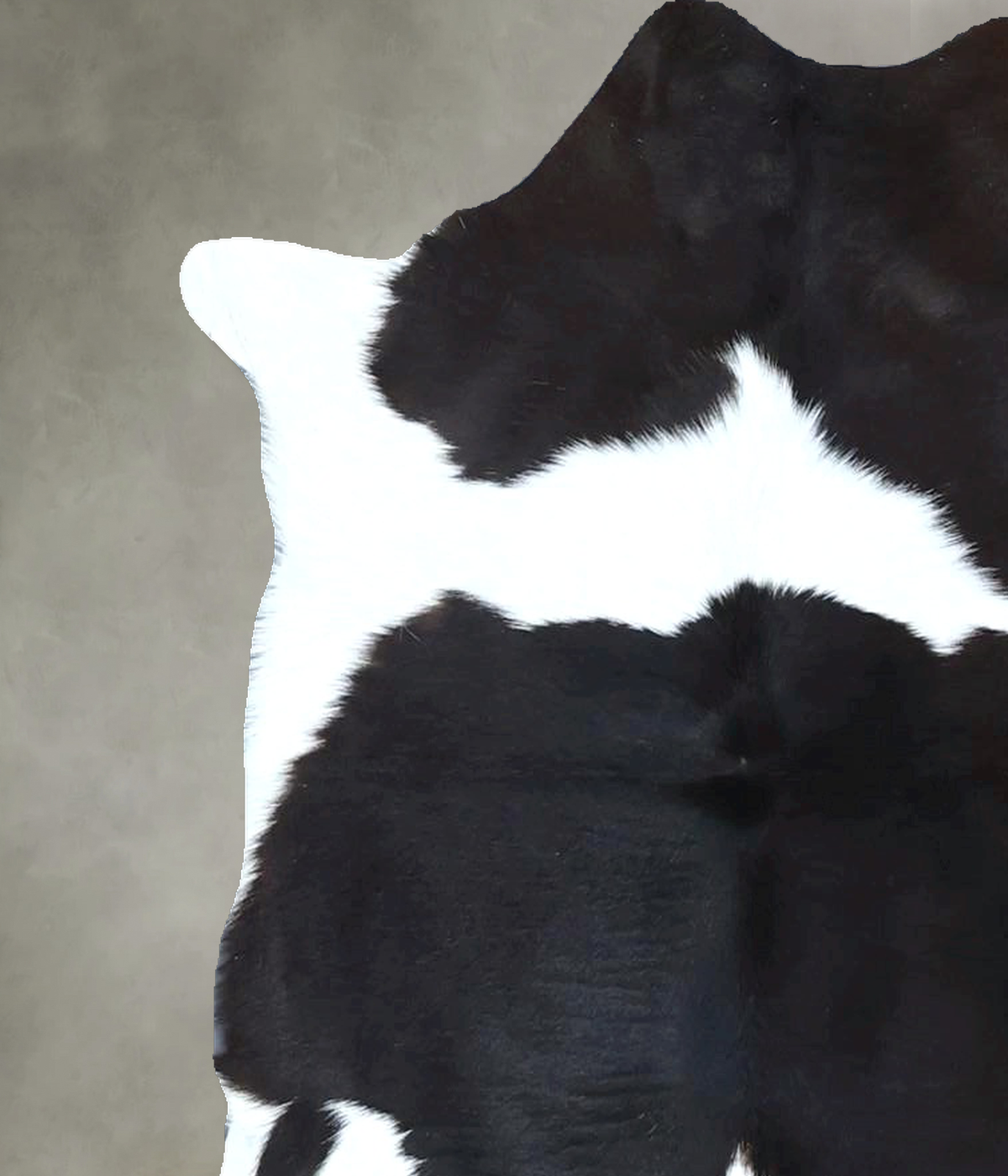 Calfhide Approx 2'x3' #B21884 by Hudson Hides