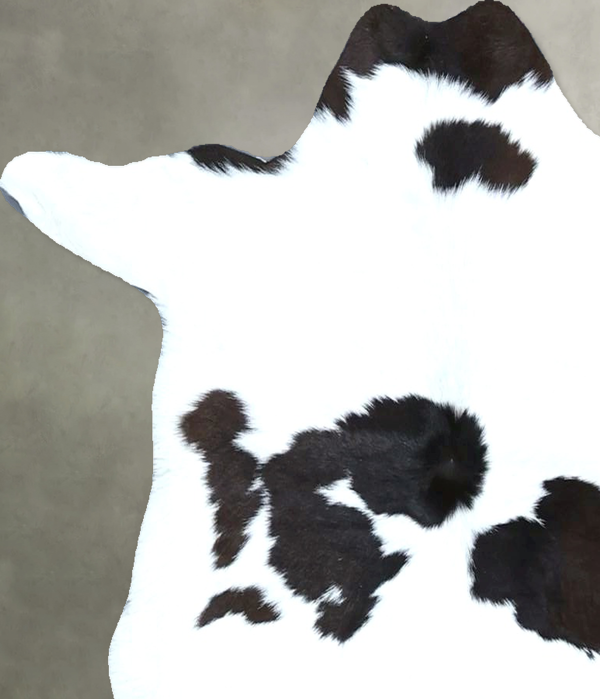 Calfhide Approx 2'x3' #B21885 by Hudson Hides