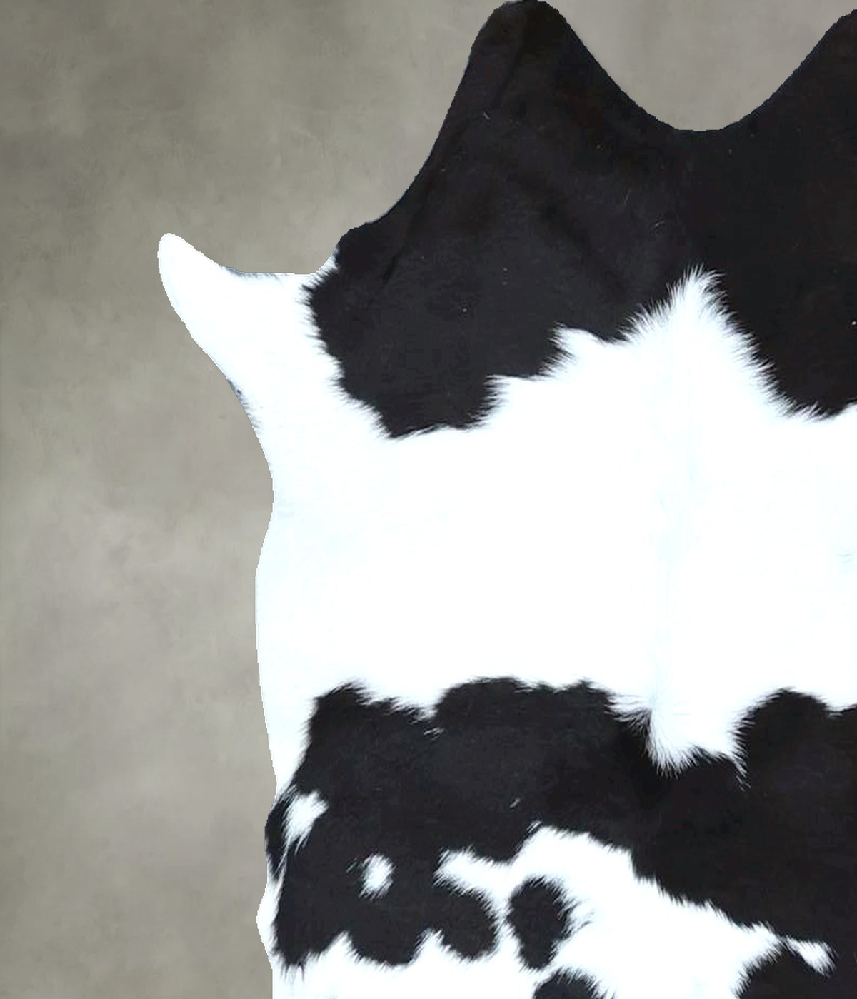 Calfhide Approx 2'x3' #B21888 by Hudson Hides
