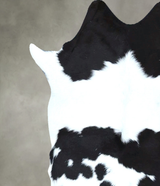 Calfhide Approx 2'x3' #B21888 by Hudson Hides