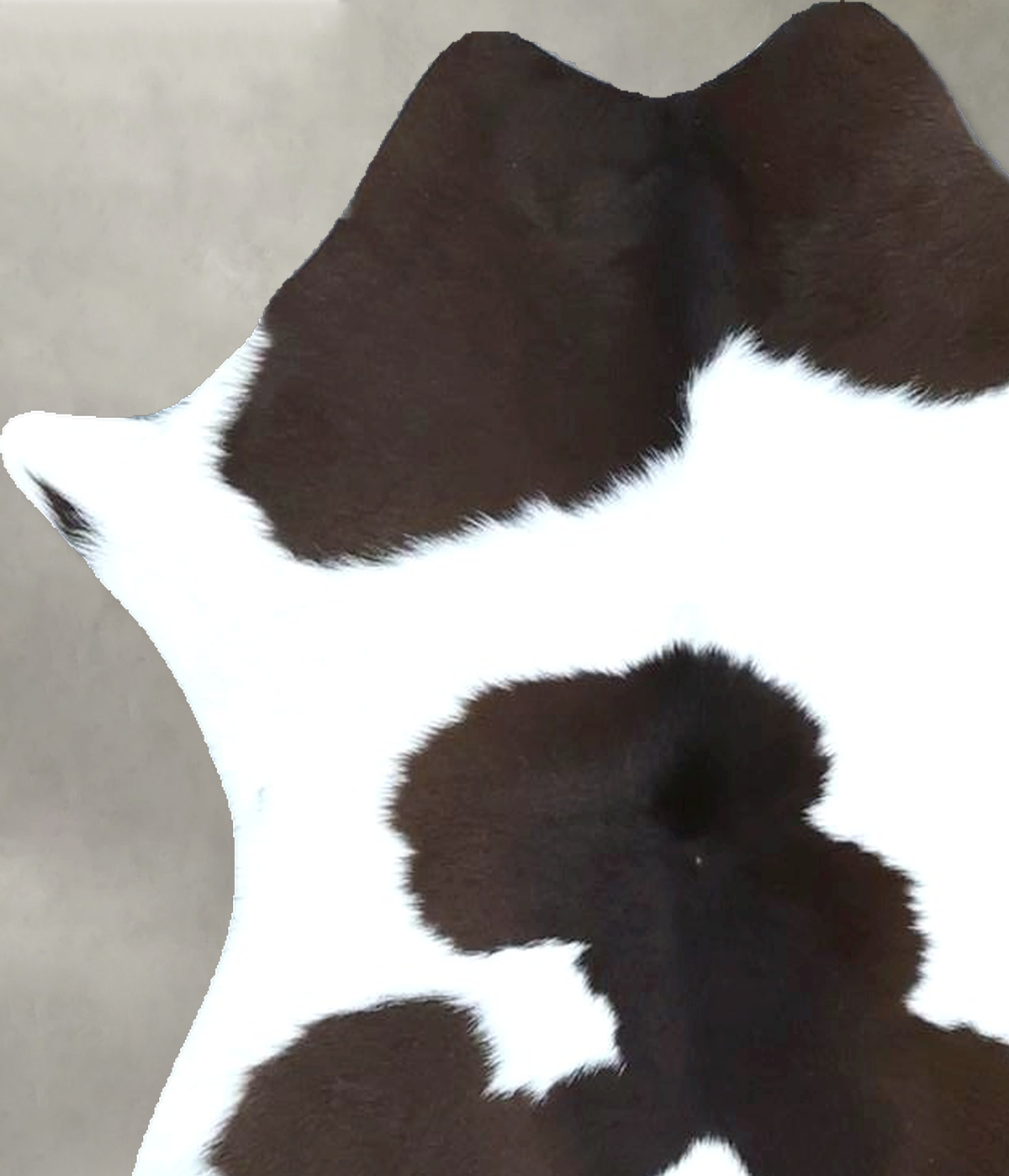 Calfhide Approx 2'x3' #B21889 by Hudson Hides