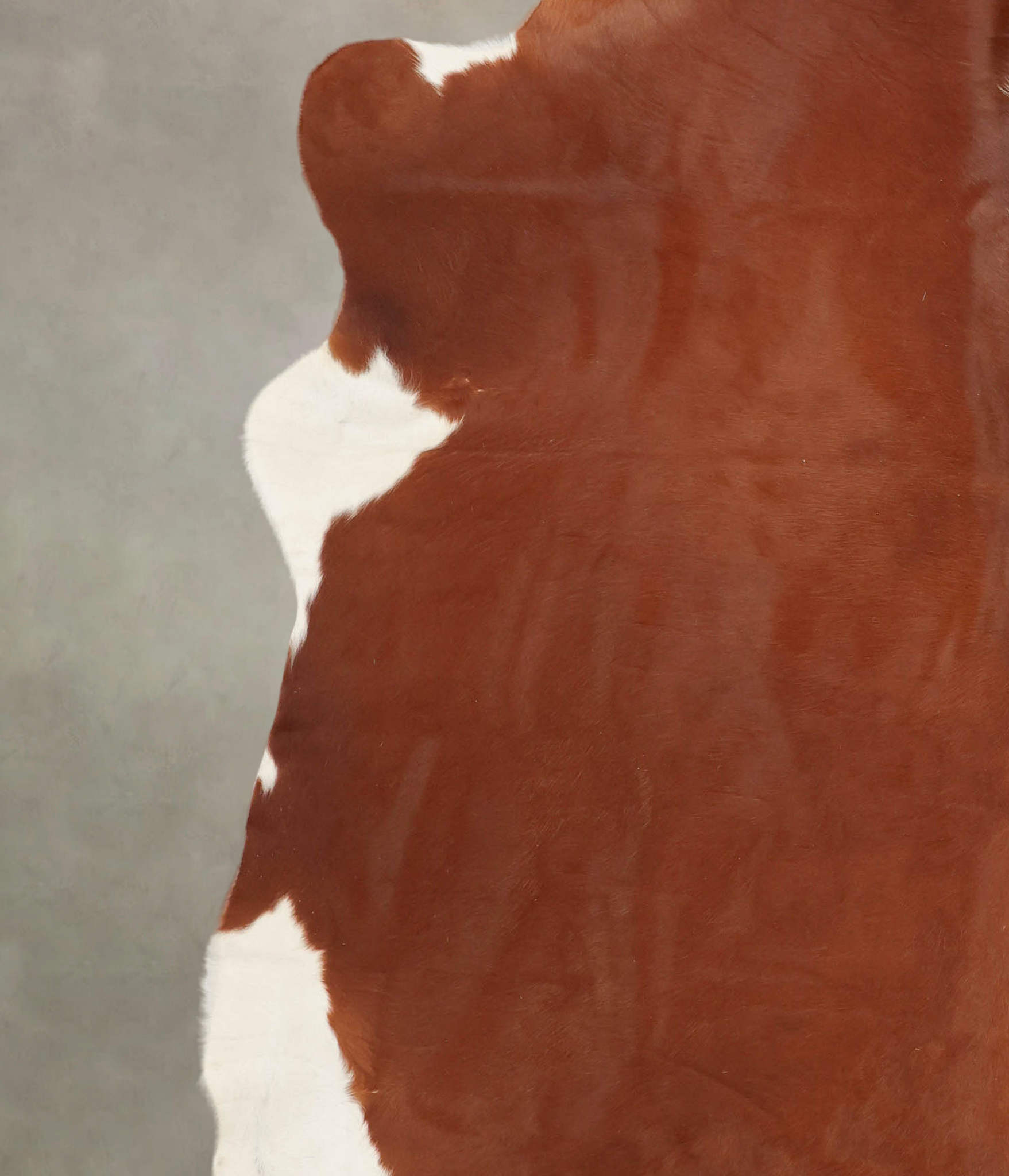 Hereford Cowhide Rug #B2189