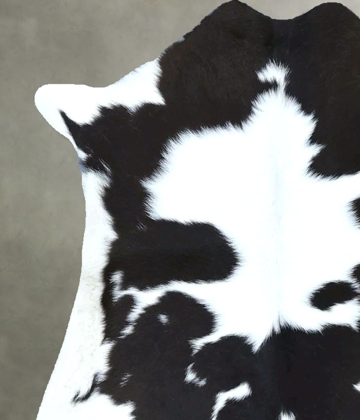 Calfhide Approx 2'x3' #B21896 by Hudson Hides