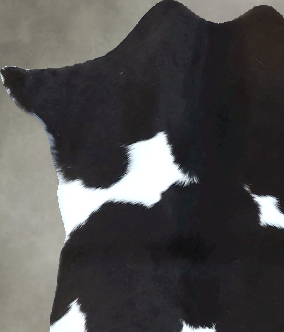 Calfhide Approx 2'x3' #B21897 by Hudson Hides