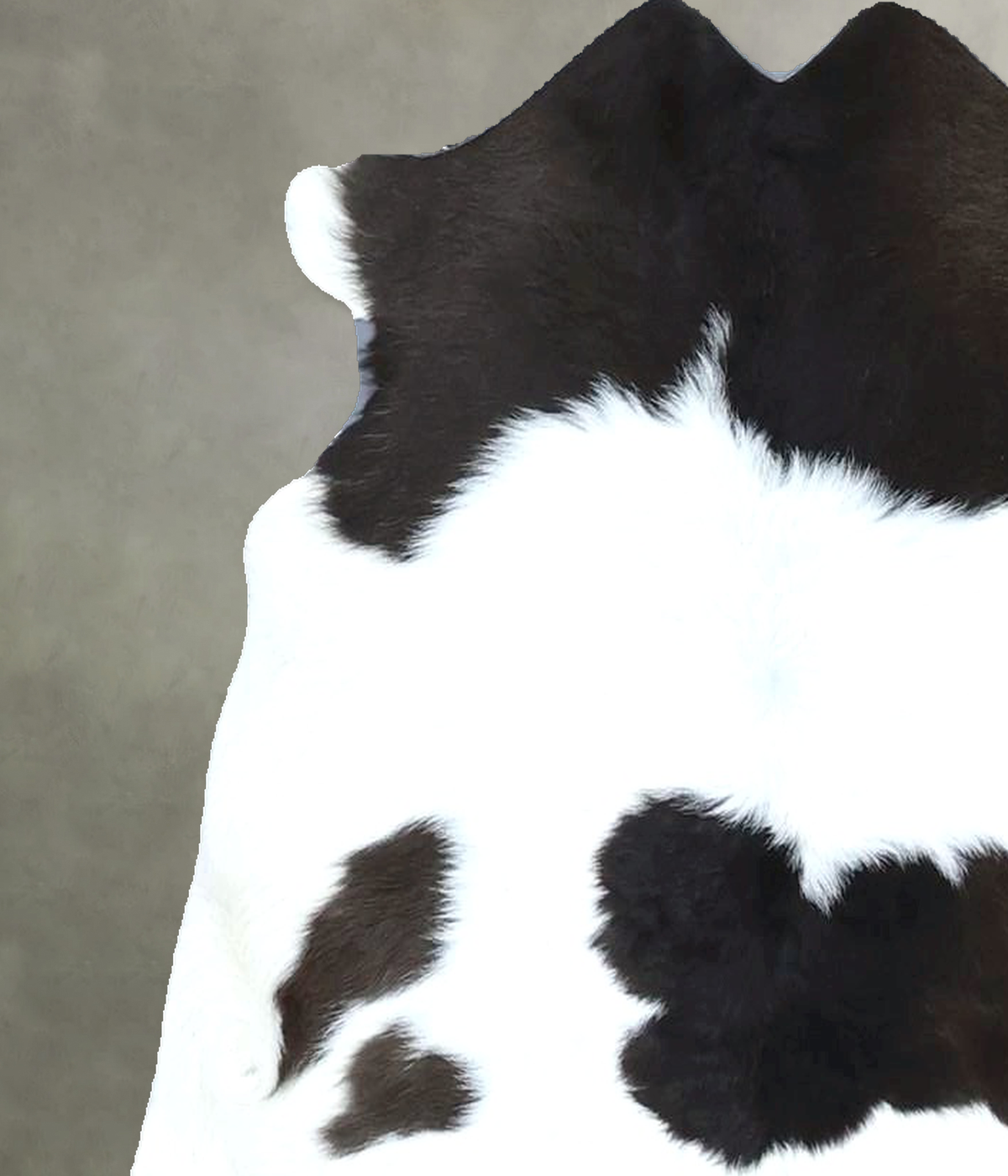 Calfhide Approx 2'x3' #B21900 by Hudson Hides