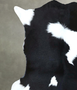 Calfhide Approx 2'x3' #B21902 by Hudson Hides