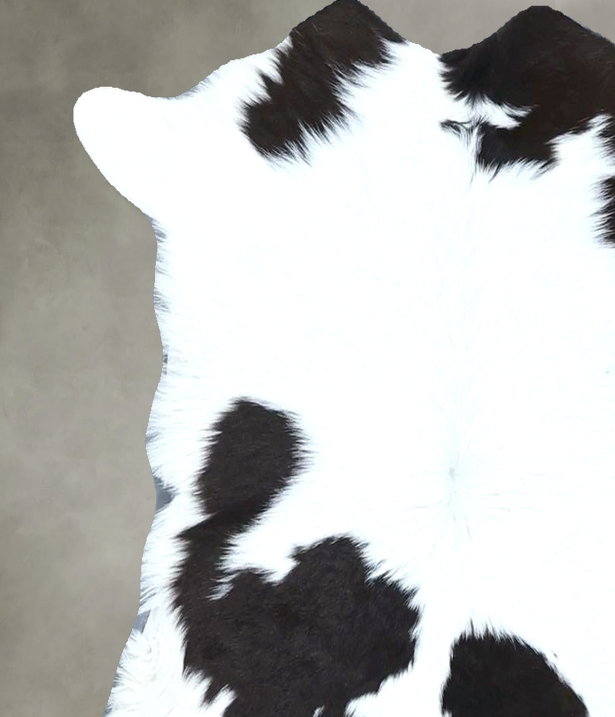 Calfhide Approx 2'x3' #B21904 by Hudson Hides