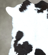 Calfhide Approx 2'x3' #B21904 by Hudson Hides