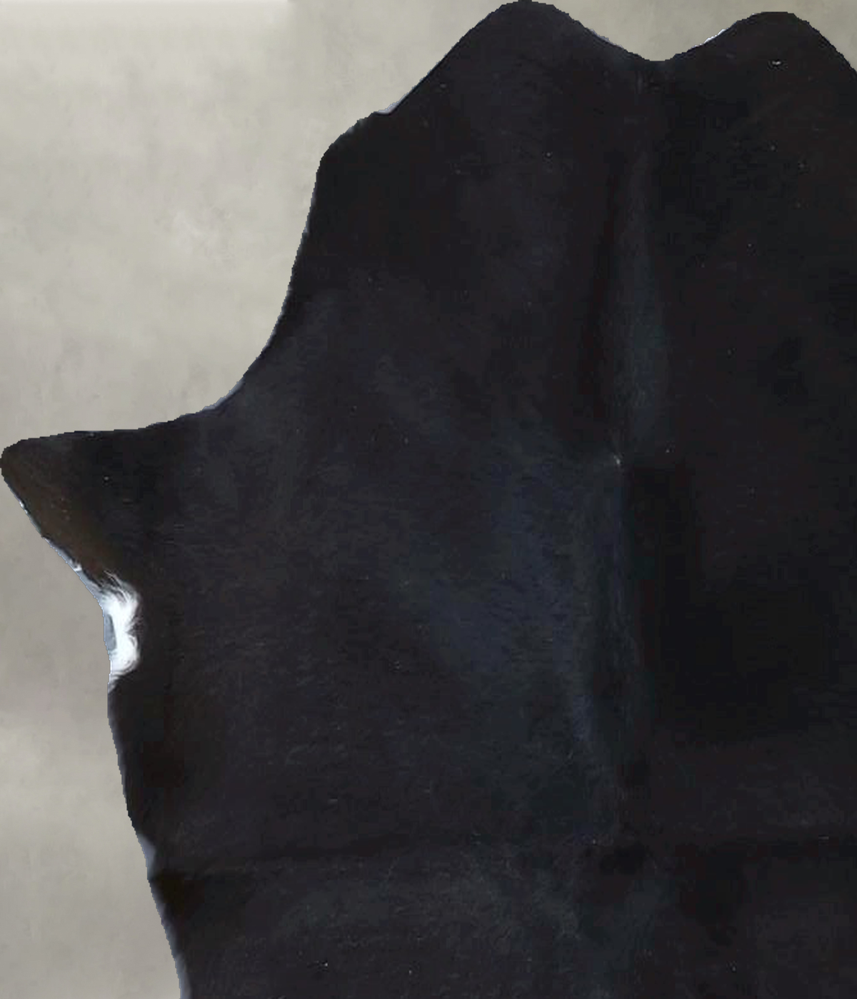 Calfhide Approx 2'x3' #B21905 by Hudson Hides
