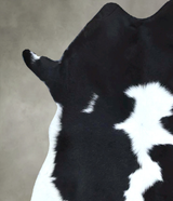 Calfhide Approx 2'x3' #B21912 by Hudson Hides