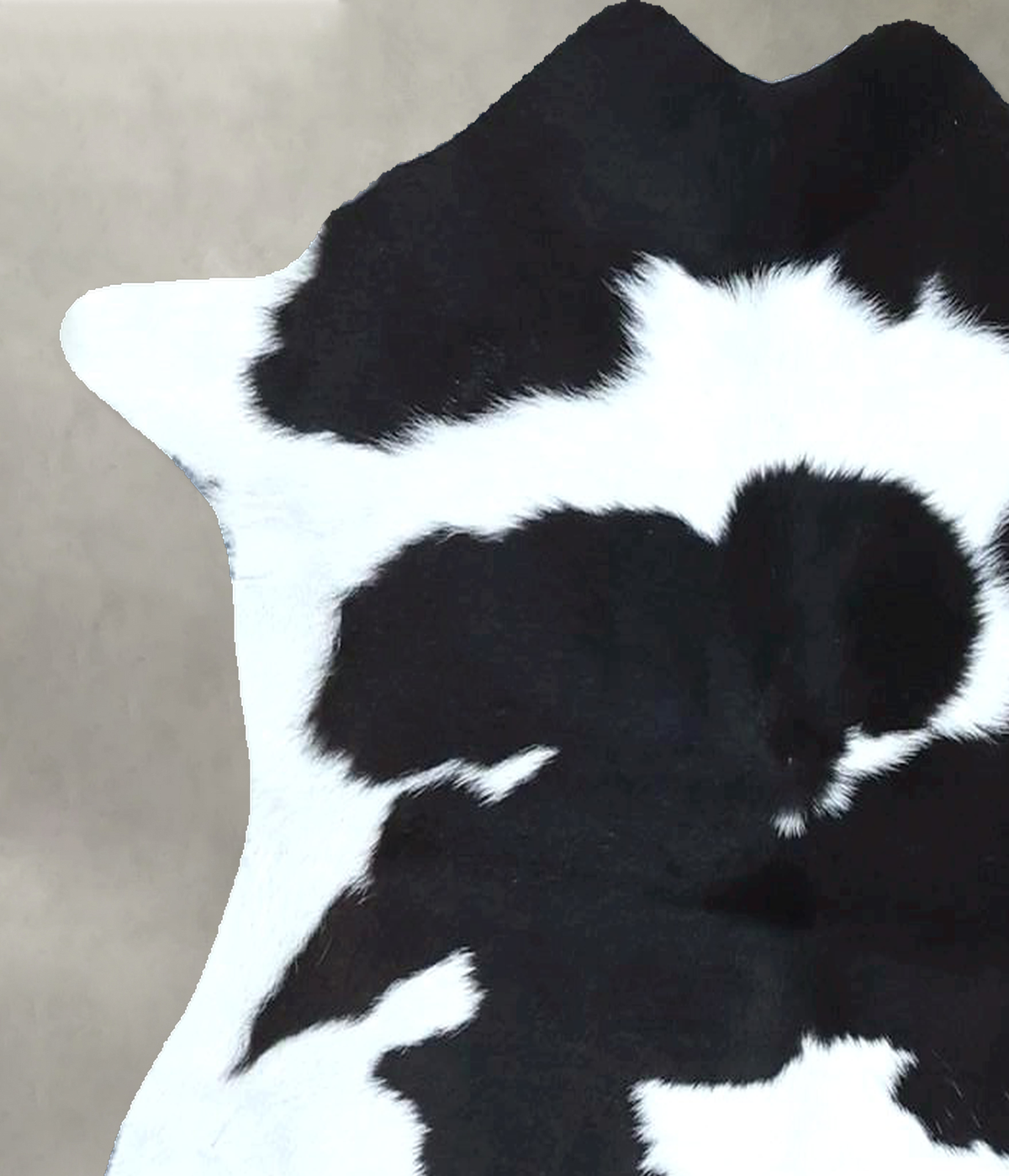 Calfhide Approx 2'x3' #B21913 by Hudson Hides