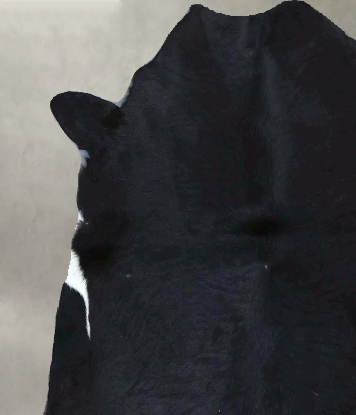 Calfhide Approx 2'x3' #B21914 by Hudson Hides