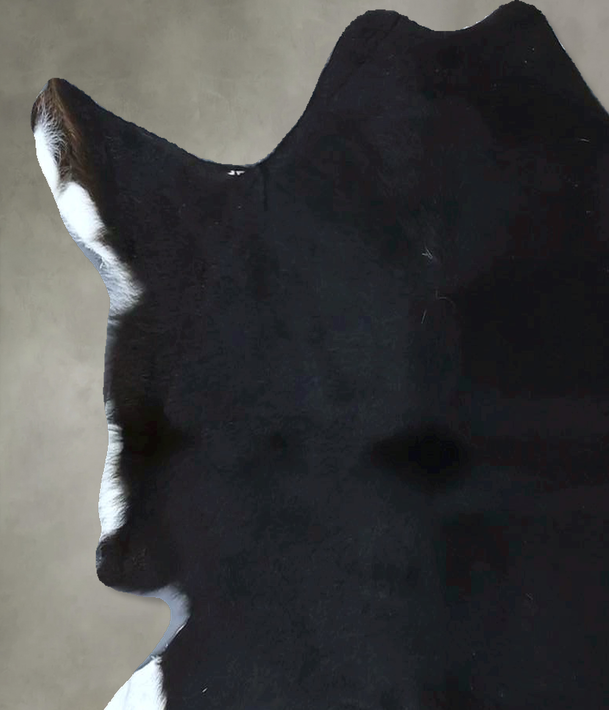 Calfhide Approx 2'x3' #B21915 by Hudson Hides