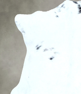 Calfhide Approx 2'x3' #B21916 by Hudson Hides