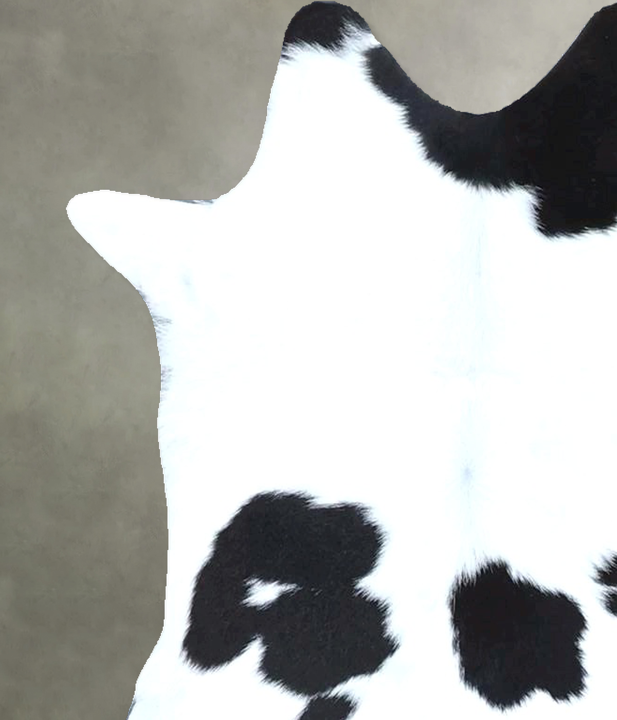 Calfhide Approx 2'x3' #B21917 by Hudson Hides