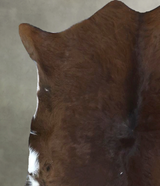 Calfhide Approx 2'x3' #B21918 by Hudson Hides