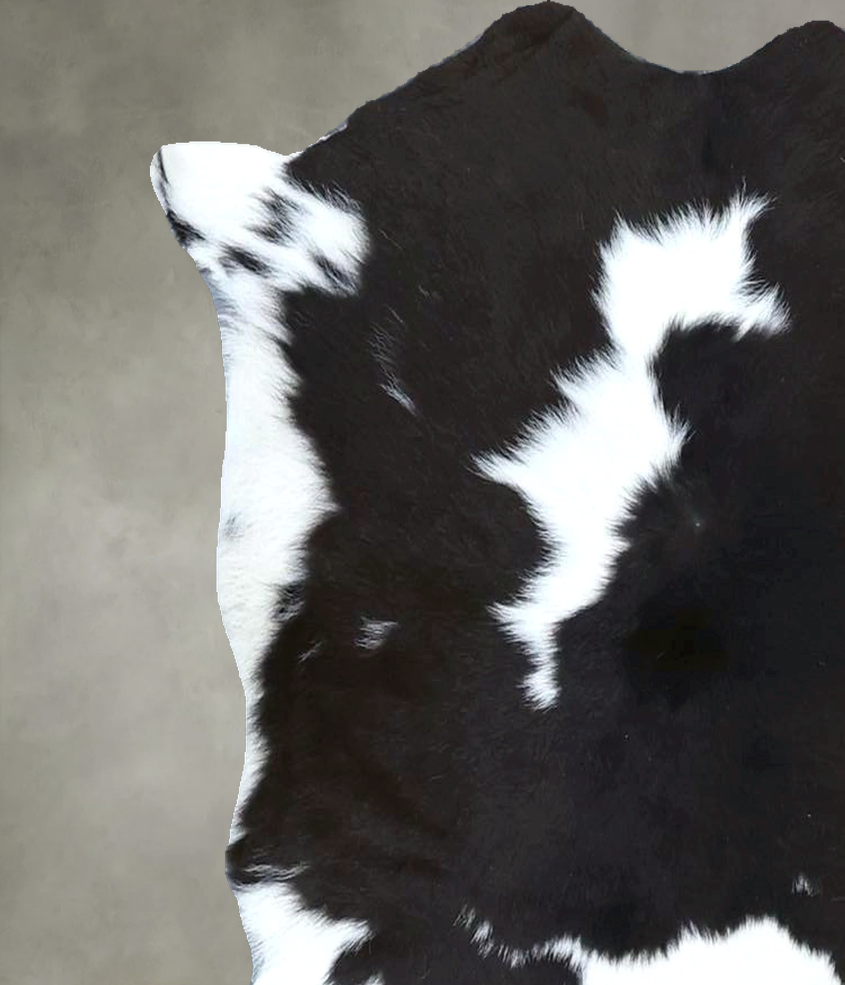 Calfhide Approx 2'x3' #B21920 by Hudson Hides