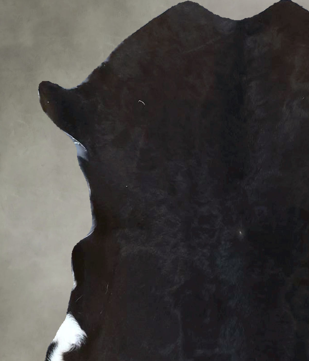 Calfhide Approx 2'x3' #B21922 by Hudson Hides