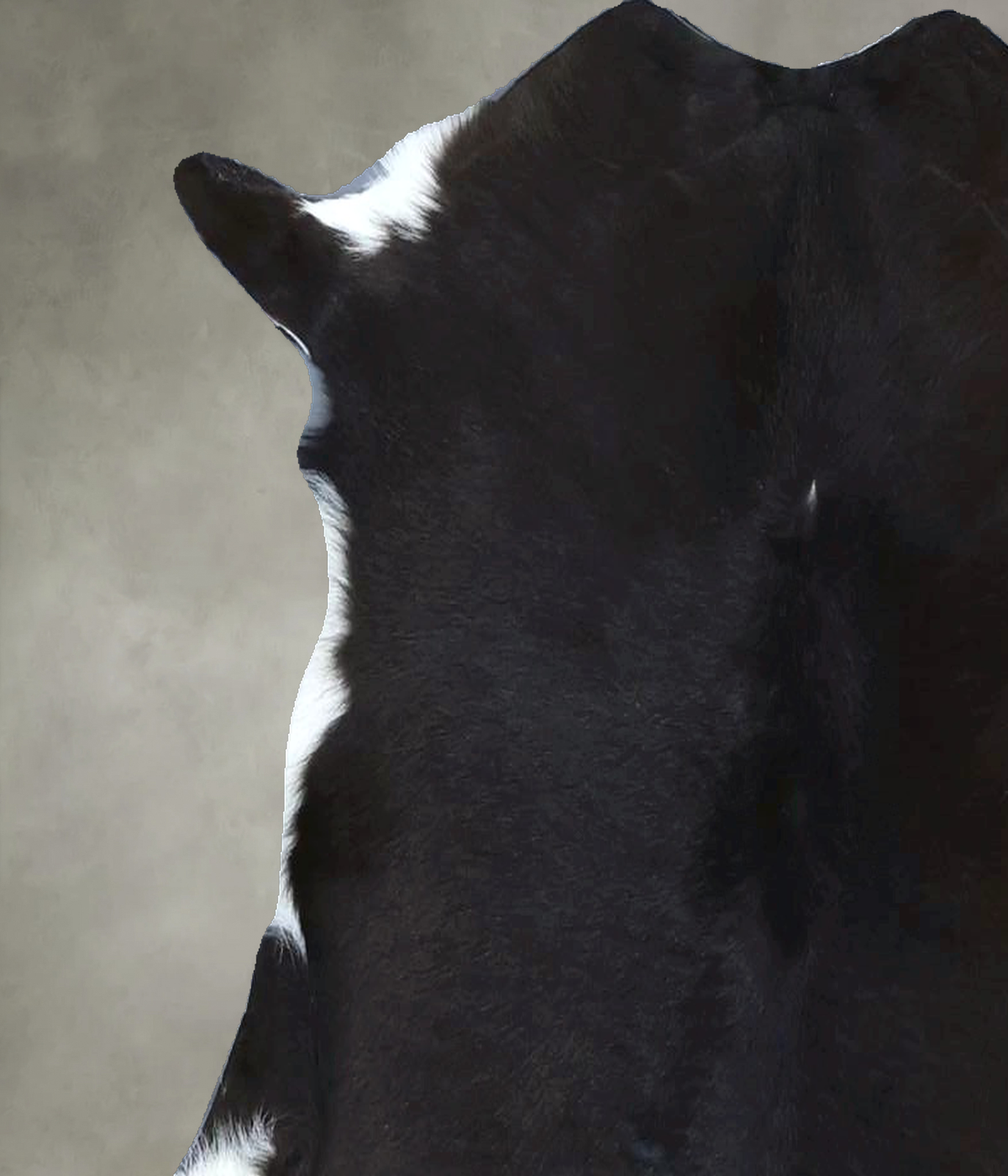 Calfhide Approx 2'x3' #B21923 by Hudson Hides