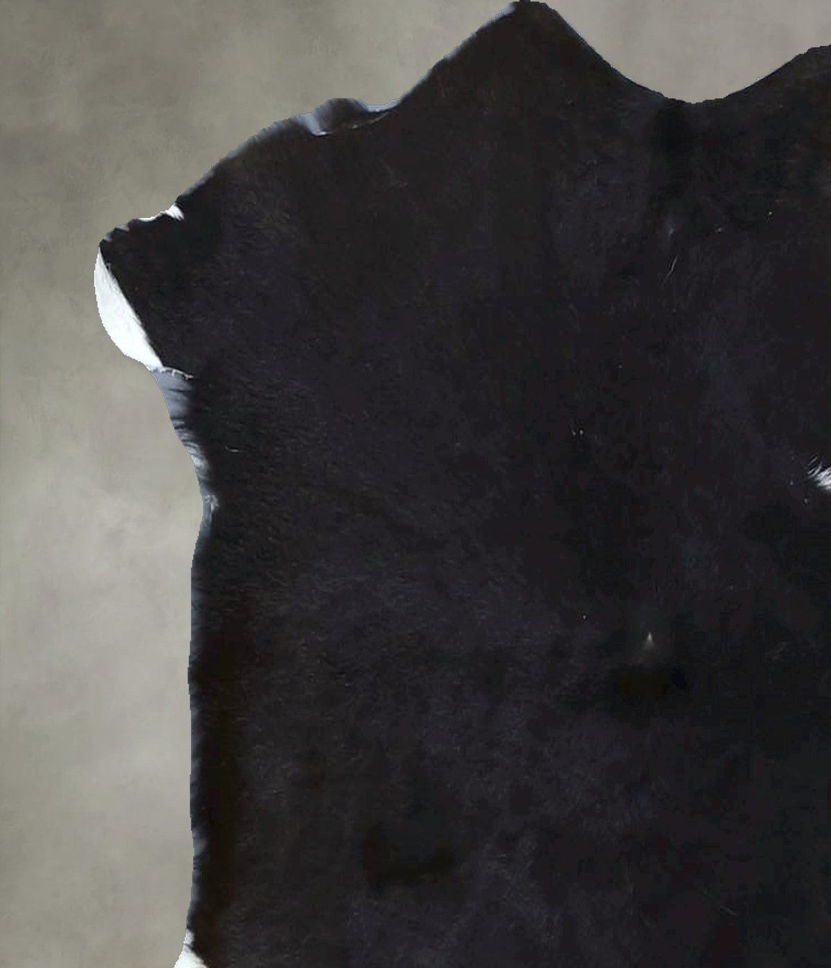 Calfhide Approx 2'x3' #B21924 by Hudson Hides
