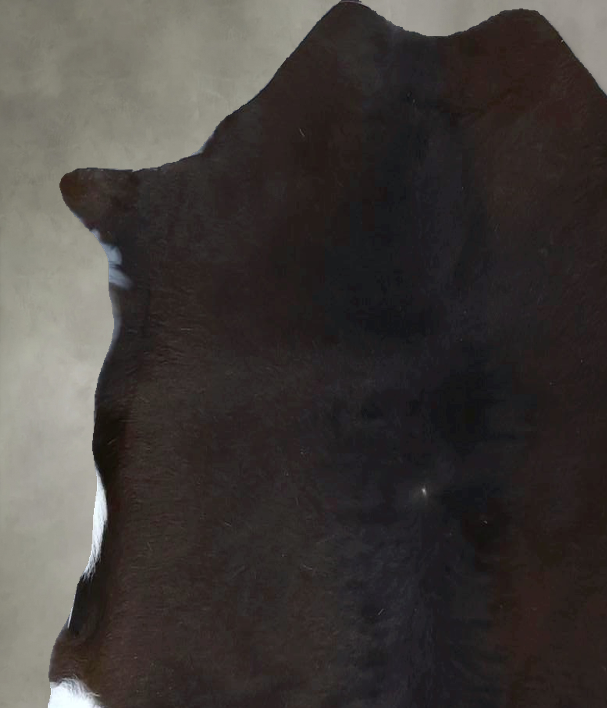 Calfhide Approx 2'x3' #B21930 by Hudson Hides
