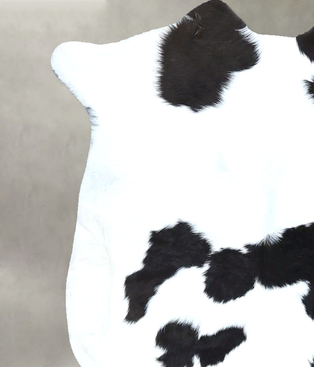 Calfhide Approx 2'x3' #B21933 by Hudson Hides