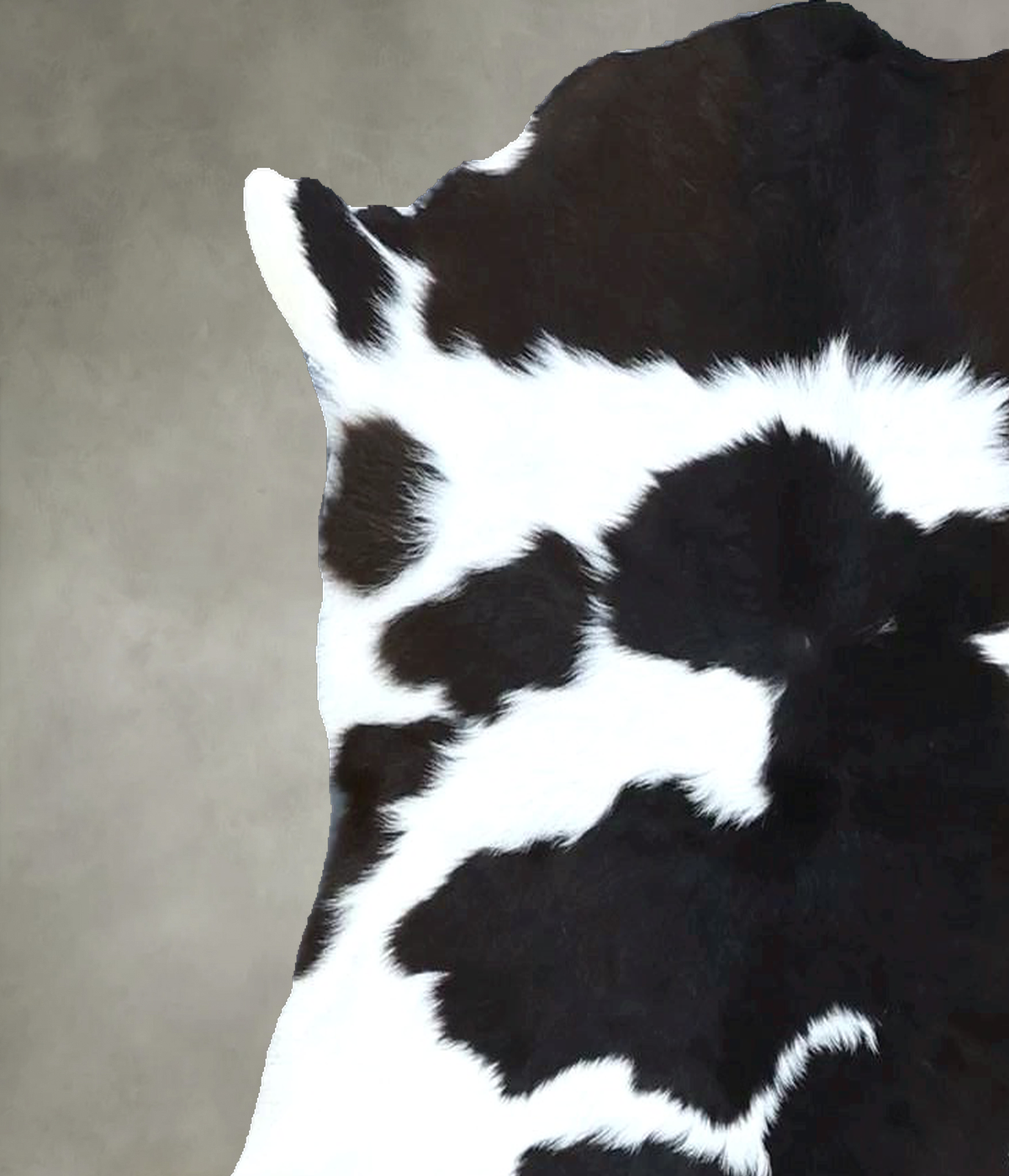 Calfhide Approx 2'x3' #B21934 by Hudson Hides