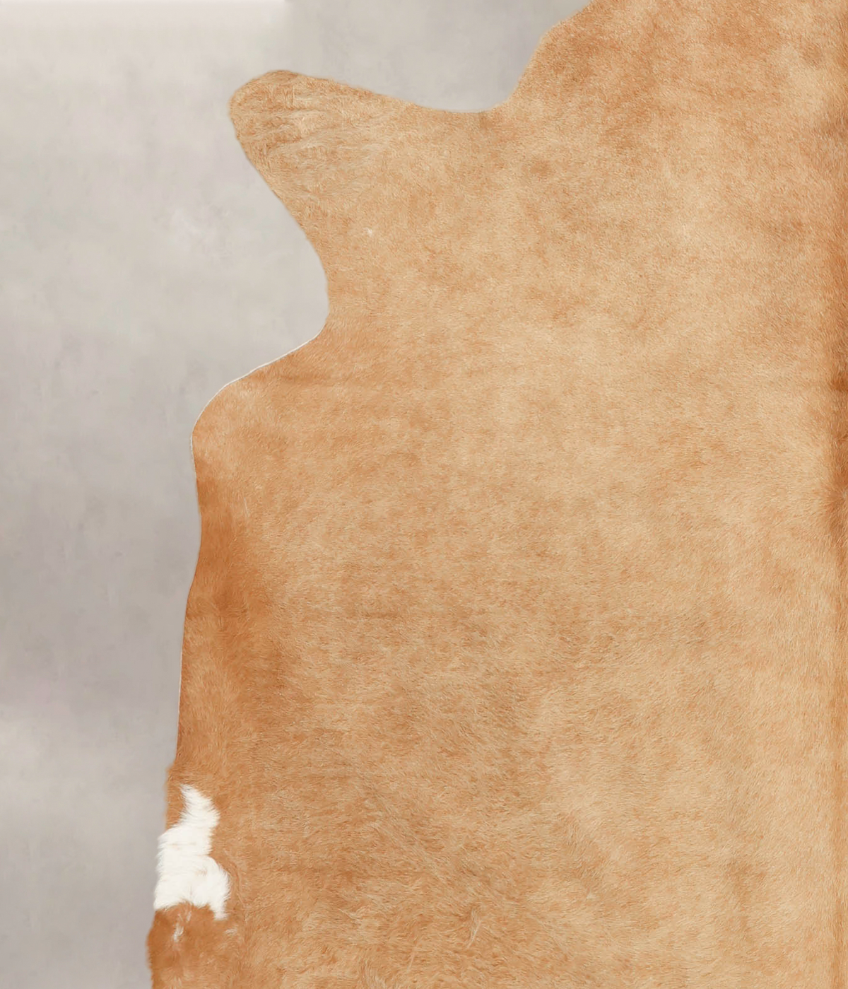 Beige XX-Large Brazilian Cowhide Rug 7'2"H x 7'0"W #B2194 by Hudson Hides
