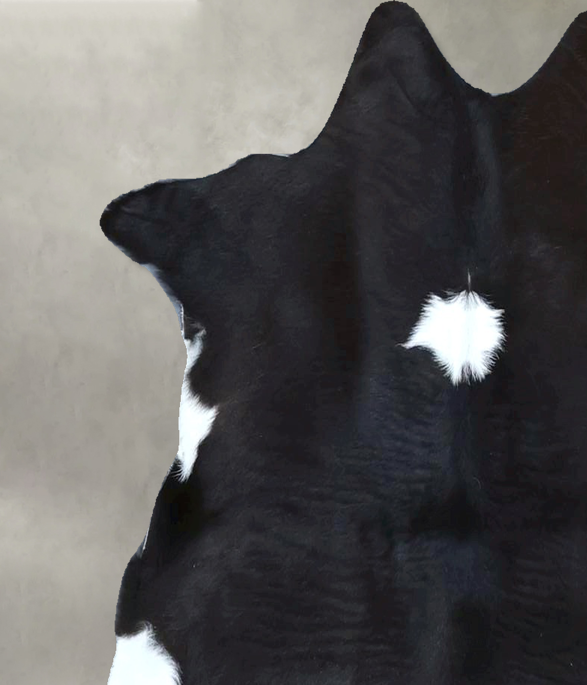 Calfhide Approx 2'x3' #B21940 by Hudson Hides
