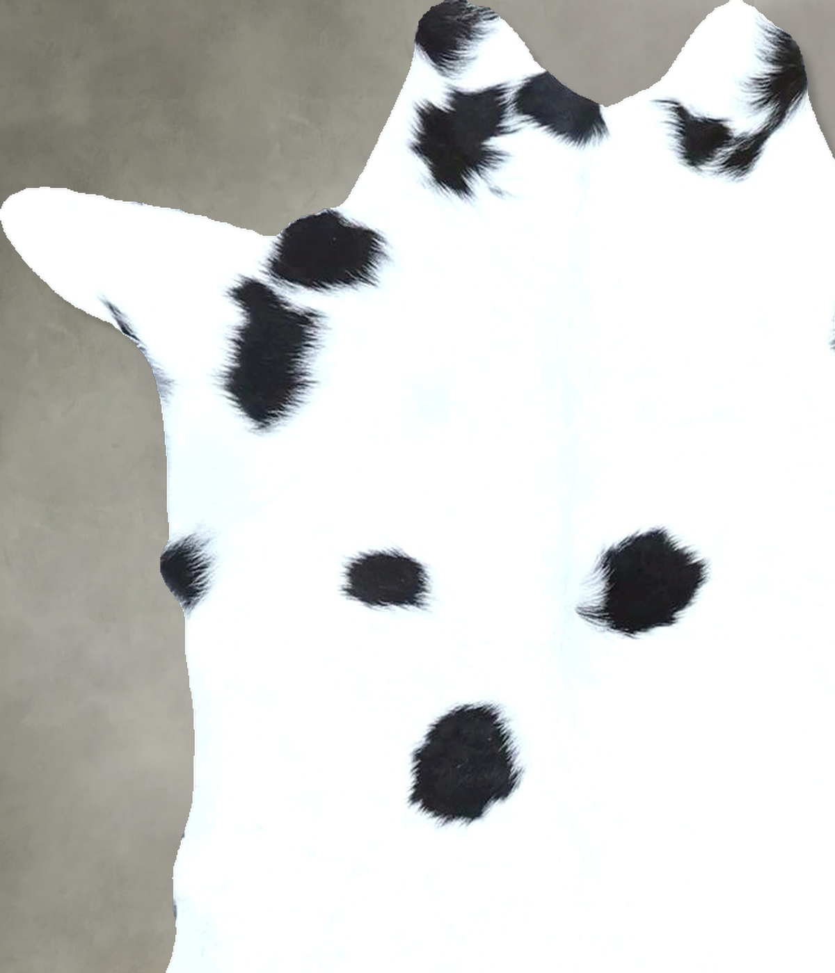 Calfhide Approx 2'x3' #B21944 by Hudson Hides