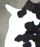 Calfhide Approx 2'x3' #B21948 by Hudson Hides