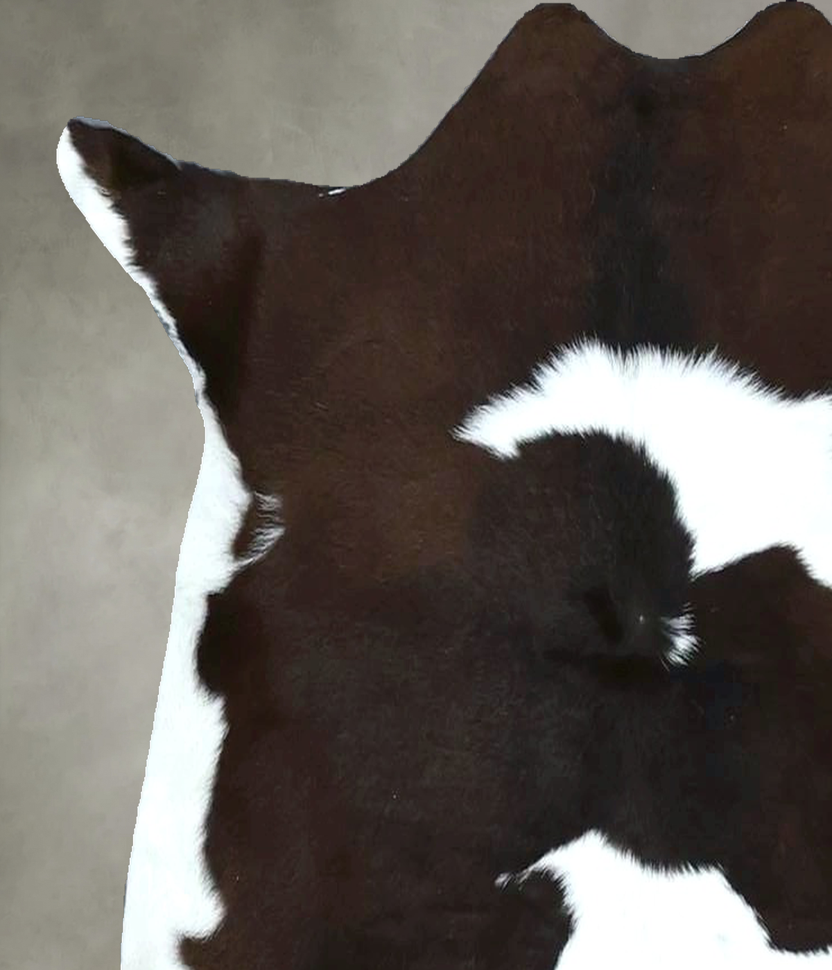 Calfhide Approx 2'x3' #B21953 by Hudson Hides