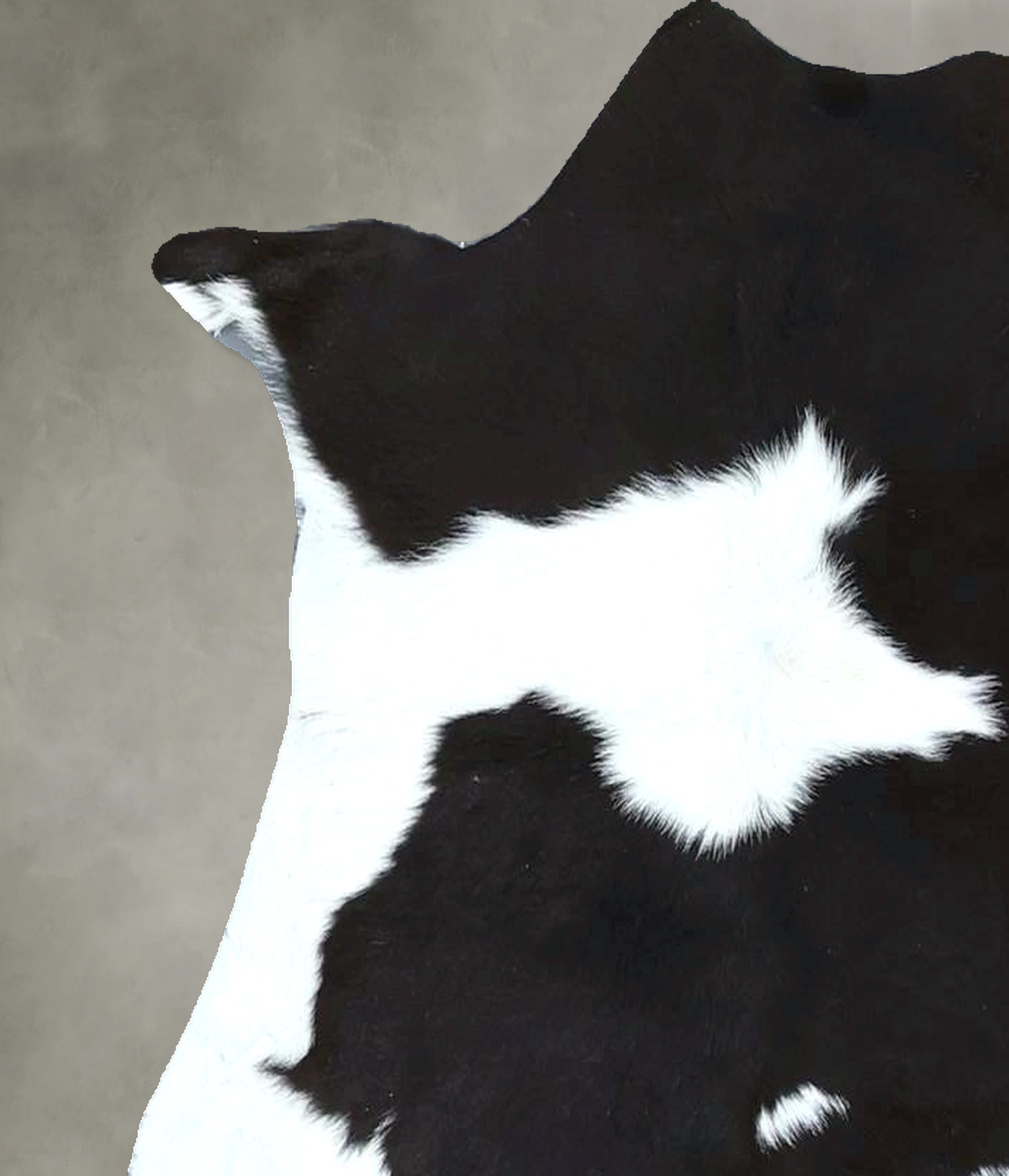 Calfhide Approx 2'x3' #B21954 by Hudson Hides