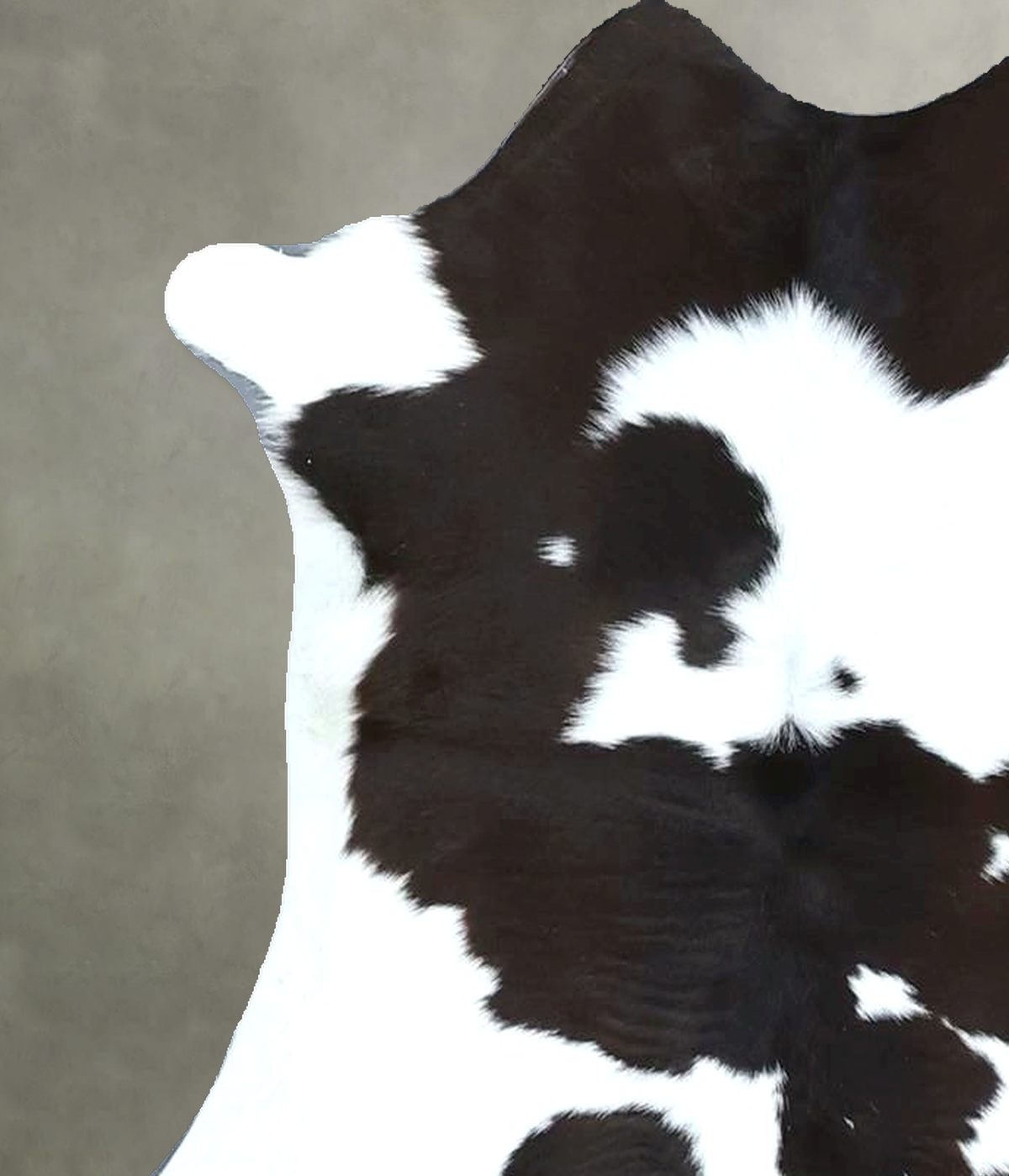Calfhide Approx 2'x3' #B21956 by Hudson Hides