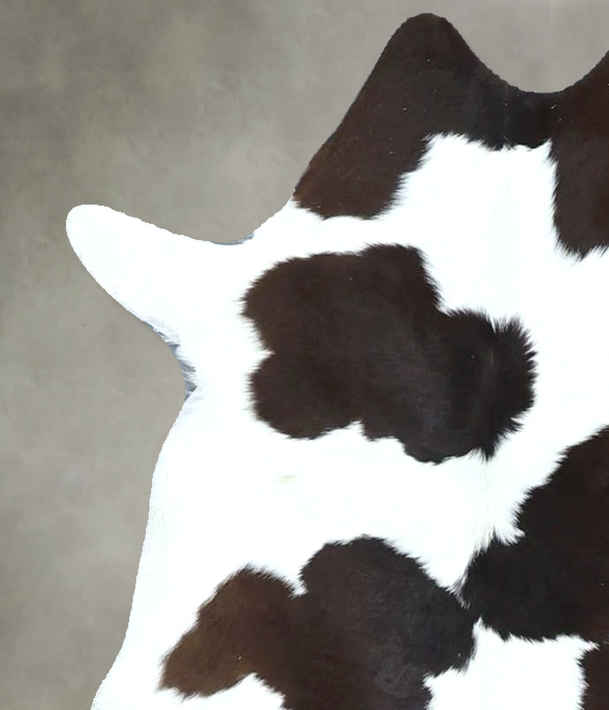 Calfhide Approx 2'x3' #B21958 by Hudson Hides