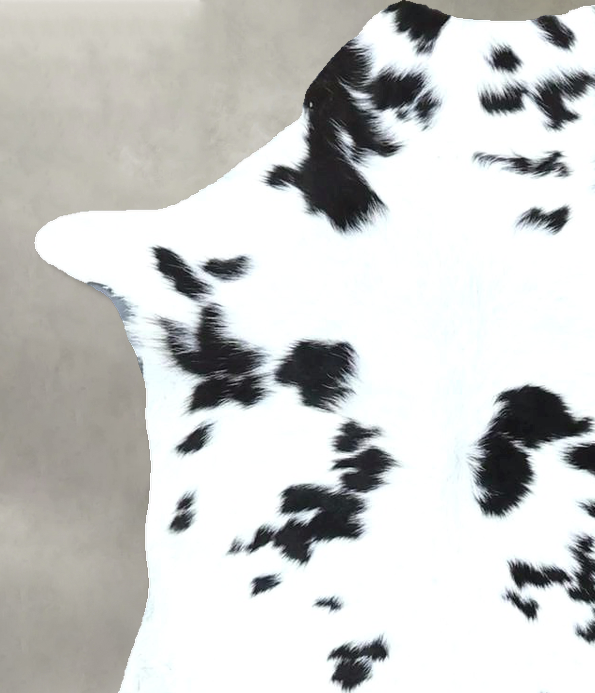 Calfhide Approx 2'x3' #B21960 by Hudson Hides