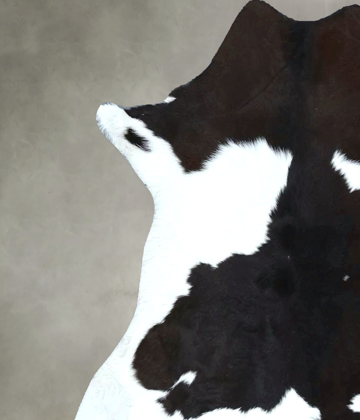 Calfhide Approx 2'x3' #B21961 by Hudson Hides