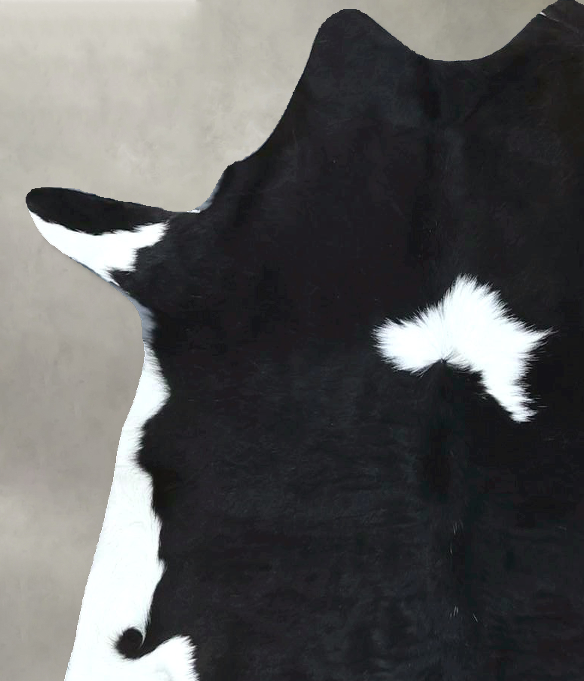 Calfhide Approx 2'x3' #B21963 by Hudson Hides