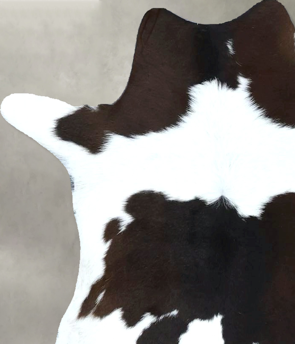 Calfhide Approx 2'x3' #B21964 by Hudson Hides