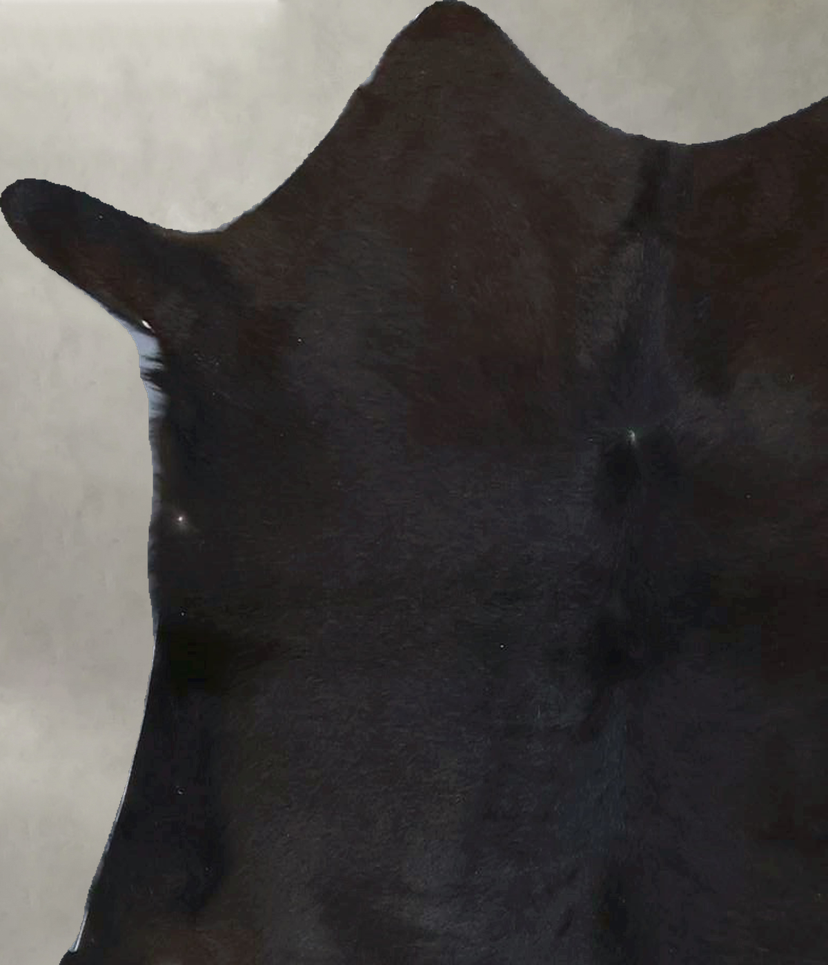 Calfhide Approx 2'x3' #B21965 by Hudson Hides